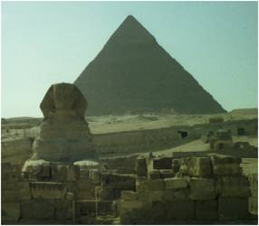 Die Sphinx / Aegypten
