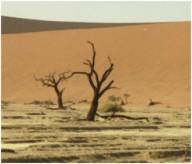 Sanddünen bei Sesriem und Sossusvlei / Namibia